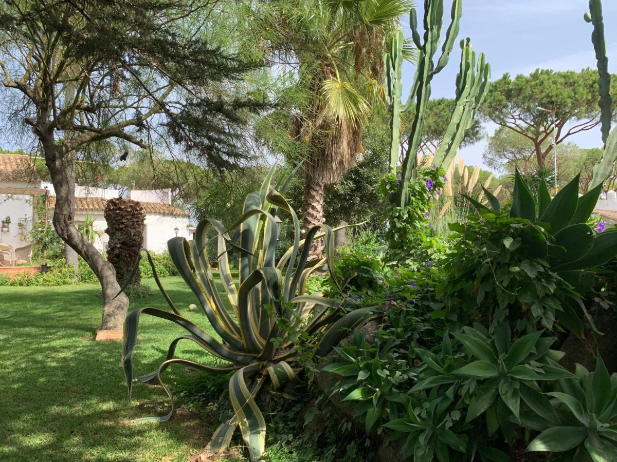 Finca Filpi Chiclana de la Frontera Exterior foto